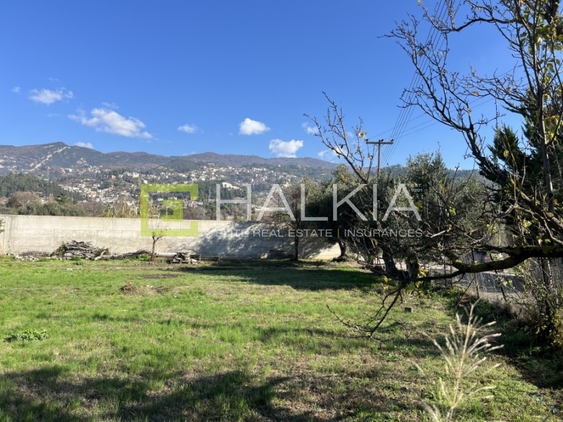 Οικόπεδο 302 τ.μ. πρός πώληση, Μαγνησία, Βόλος