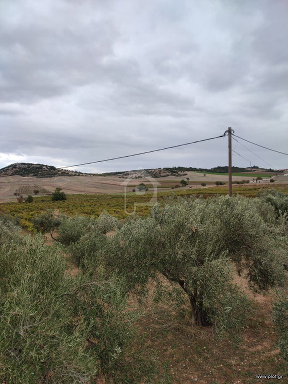 Αγροτεμάχια 37.500 τ.μ. προς πώληση, Άρμα