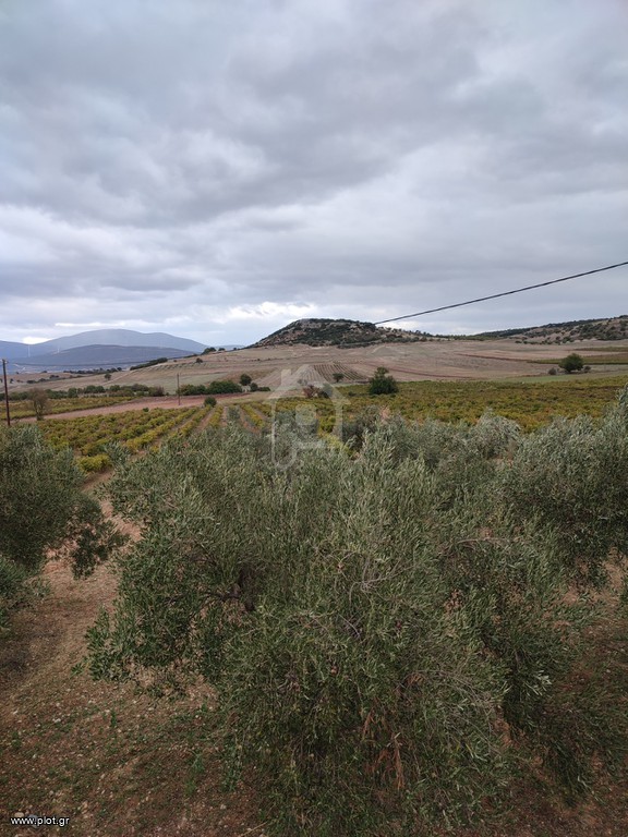 Αγροτεμάχια 37.500 τ.μ. προς πώληση, Άρμα