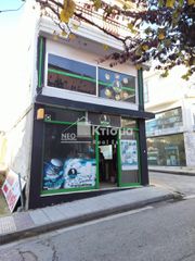 Κατάστημα 40 τ.μ. για ενοικίαση, Ν. Ηλείας, Πύργος-thumb-2