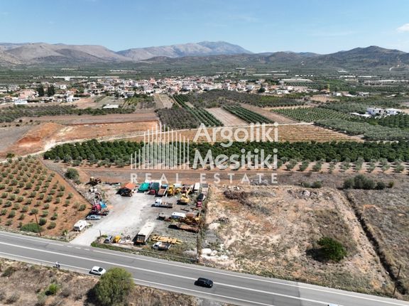 Αγροτεμάχια 6.762 τ.μ. για πώληση, Αργολίδα, Μιδέα
