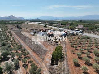 Αγροτεμάχια 6.762 τ.μ. για πώληση, Αργολίδα, Μιδέα-thumb-24