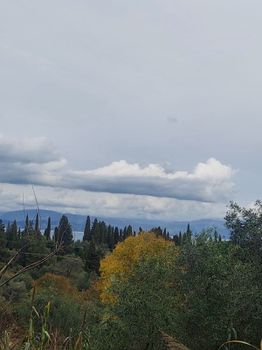 Οικόπεδο 800 τ.μ. για πώληση