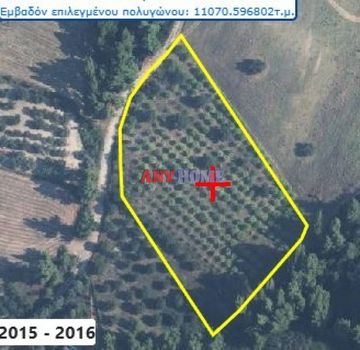 Land plot 11.000 sqm for sale