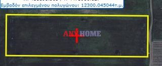 Αγροτεμάχια 123.000 τ.μ. για πώληση