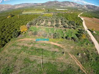 Parcel 2.359 sqm for sale, Argolis, Midea-thumb-2