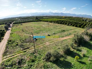 Parcel 2.359 sqm for sale, Argolis, Midea-thumb-5