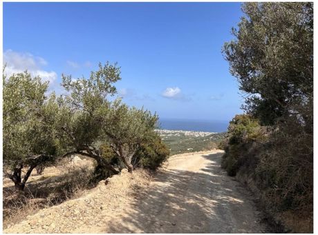 Land plot 6.900sqm for sale-Kissamos » Metochi