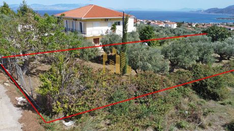 Land plot 1.000sqm for sale-Akrata » Fourni