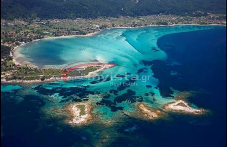 Αγροτεμάχια 8.700τ.μ. για πώληση-Σιθωνία » Βουρβουρού