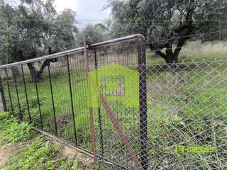 Αγροτεμάχια 4.500 τ.μ. προς πώληση, Οβριά-thumb-5
