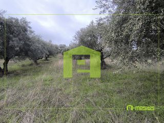 Αγροτεμάχια 4.500 τ.μ. προς πώληση, Οβριά-thumb-9