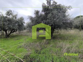 Αγροτεμάχια 4.500 τ.μ. προς πώληση, Οβριά-thumb-7