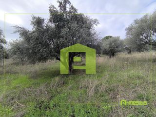 Αγροτεμάχια 4.500 τ.μ. προς πώληση, Οβριά-thumb-6