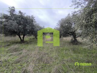Αγροτεμάχια 4.500 τ.μ. προς πώληση, Οβριά-thumb-12