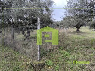 Αγροτεμάχια 4.500 τ.μ. προς πώληση, Οβριά-thumb-14