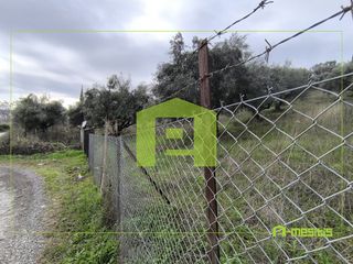 Αγροτεμάχια 4.500 τ.μ. προς πώληση, Οβριά-thumb-13