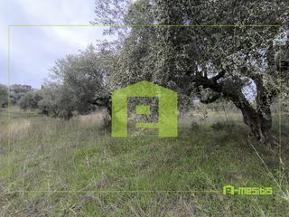 Αγροτεμάχια 4.500 τ.μ. προς πώληση, Οβριά-thumb-11