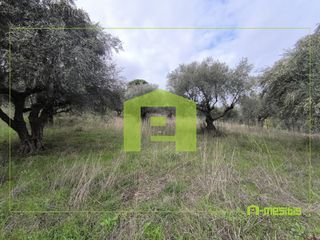 Αγροτεμάχια 4.500 τ.μ. προς πώληση, Οβριά-thumb-8