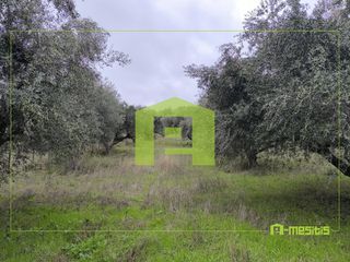 Αγροτεμάχια 4.500 τ.μ. προς πώληση, Οβριά-thumb-18