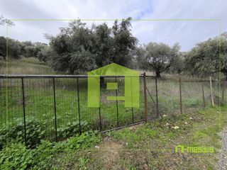 Αγροτεμάχια 4.500 τ.μ. προς πώληση, Οβριά-thumb-4