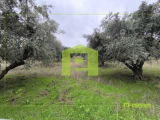 Αγροτεμάχια 4.500 τ.μ. προς πώληση, Οβριά-thumb-19