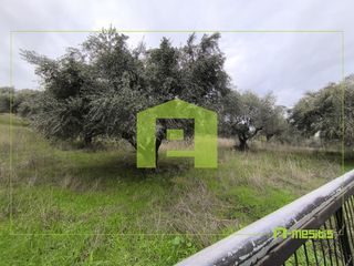 Αγροτεμάχια 4.500 τ.μ. προς πώληση, Οβριά-thumb-21