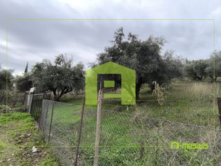Αγροτεμάχια 4.500 τ.μ. προς πώληση, Οβριά-thumb-16