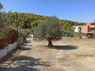 Οικόπεδο 503 τ.μ. για πώληση, Αττική - Υπόλοιπο, Αλεποχώρι-thumb-16
