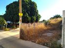 Land plot 1.556sqm for sale-Arkadi » Pigi