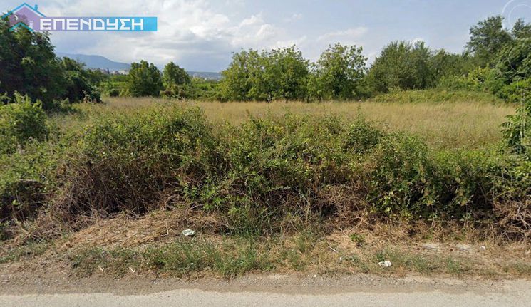 Αγροτεμάχια 4.000 τ.μ. για πώληση, Ημαθία, Βέροια