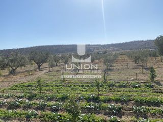 Parcel 11.000 sqm for sale