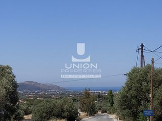 Οικόπεδο 4.060 τ.μ. προς πώληση