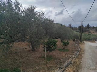 Οικόπεδο 1.680 τ.μ. για πώληση