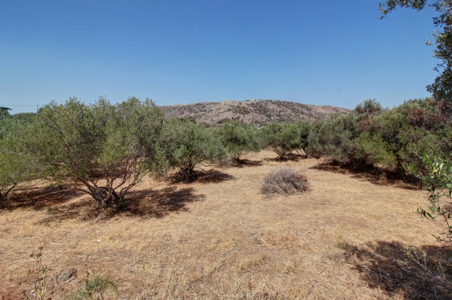 Οικόπεδο 1.349 τ.μ. προς πώληση, Δράπανος