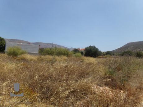 Land plot 6.000 sqm for rent