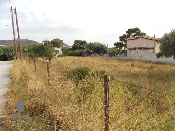 Αγροτεμάχια 1.224 τ.μ. για πώληση, Αττική - Υπόλοιπο, Παλαιά Φώκαια