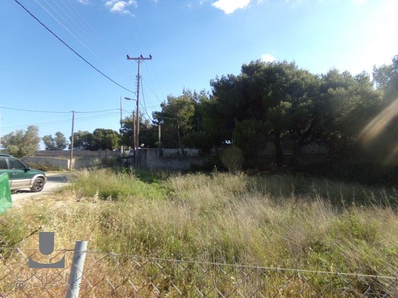 Parcel 434,18 sqm for sale, Athens - East, Koropi