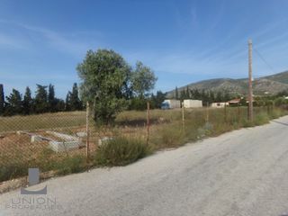 Οικόπεδο 6.993 τ.μ. για ενοικίαση