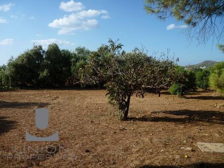Parcel 2.350 sqm for rent