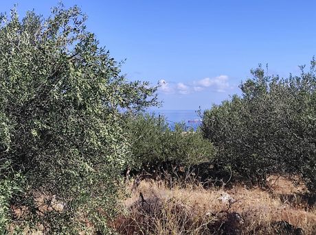 Οικόπεδο 675 τ.μ. για πώληση