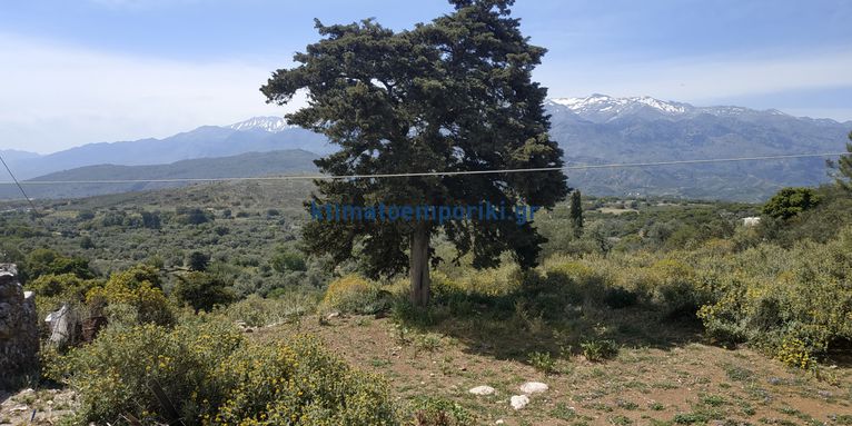 Οικόπεδο 4.200 τ.μ. για πώληση, Ν. Χανίων, Κεράμια