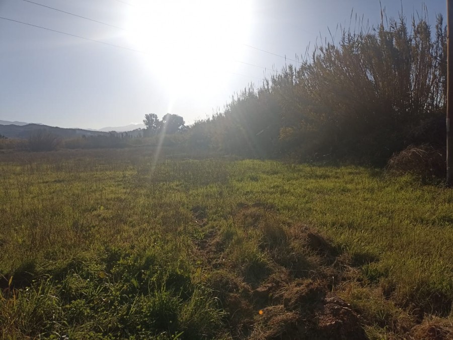 Αγροτεμάχια 16.135 τ.μ. πρός πώληση, Ν. Χανίων, Θέρισος