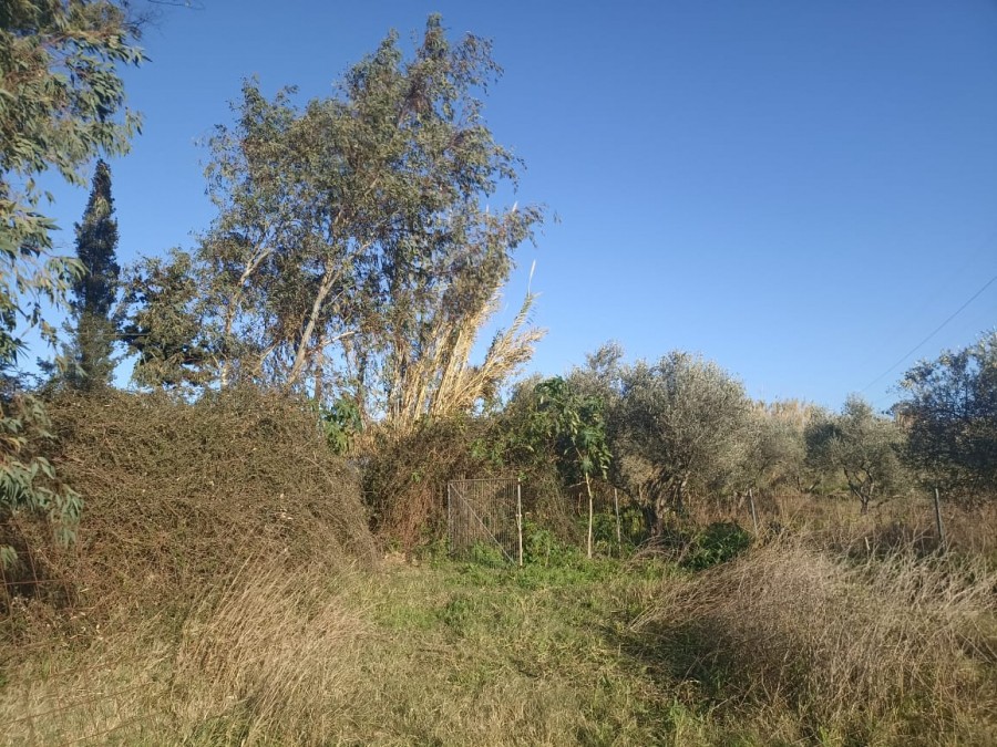 Αγροτεμάχια 16.135 τ.μ. πρός πώληση, Ν. Χανίων, Θέρισος