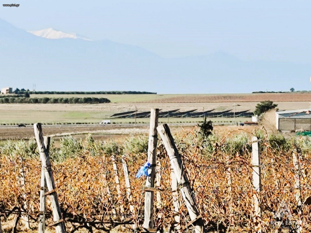 Αγροτεμάχια 9.720 τ.μ. πρός πώληση, Χαλκιδική, Καλλικράτεια