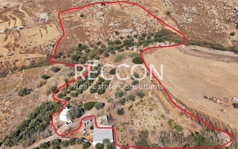 Αγροτεμάχια 13.720 τ.μ. προς πώληση, Άνω Σαγκρί