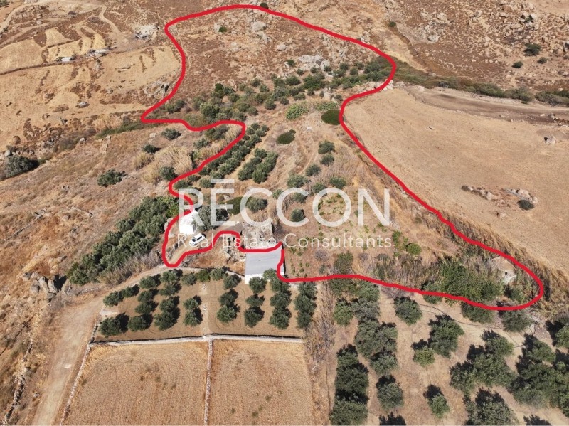 Αγροτεμάχια 13.720 τ.μ. προς πώληση, Άνω Σαγκρί