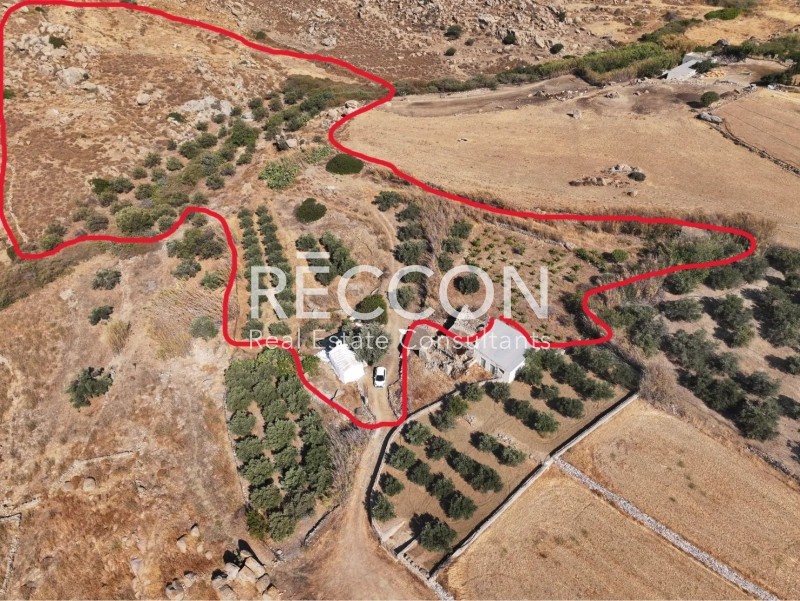 Αγροτεμάχια 13.720 τ.μ. προς πώληση, Άνω Σαγκρί