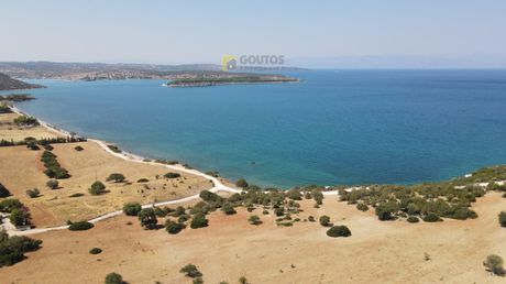 Αγροτεμάχια 76.000τ.μ. για πώληση-Κρανίδι