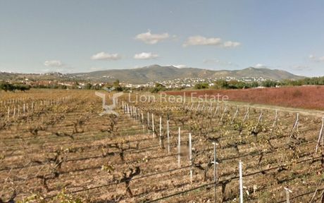 Αγροτεμάχια 9.900τ.μ. για πώληση-Πικέρμι » Κέντρο